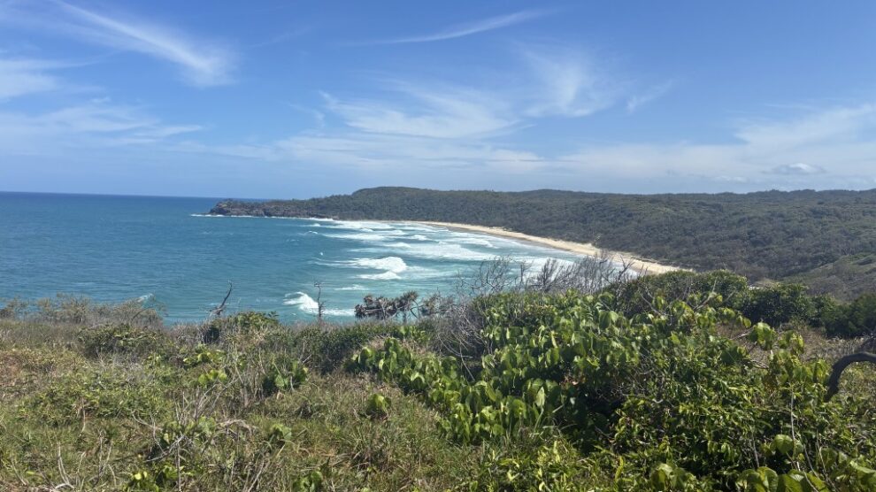 Week #02 – Sunshine Beach Residence